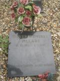 image of grave number 263139